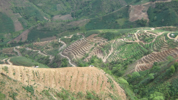紅河州元陽(yáng)縣南沙鎮(zhèn)石頭寨村土地整治（補(bǔ)充耕地）項(xiàng)目