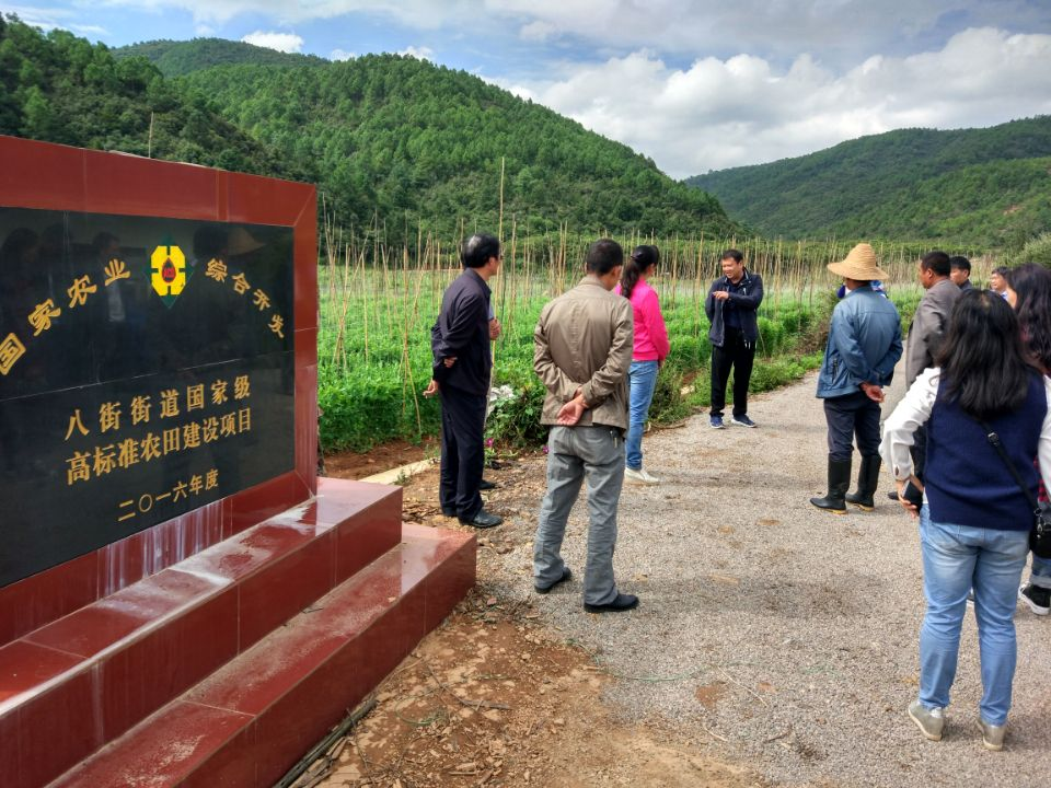 2016年國家農(nóng)業(yè)綜合開發(fā)土地治理安寧市八街街道辦事處、金方街道辦事處高標準農(nóng)田建設(shè)項目工程項目竣工驗收