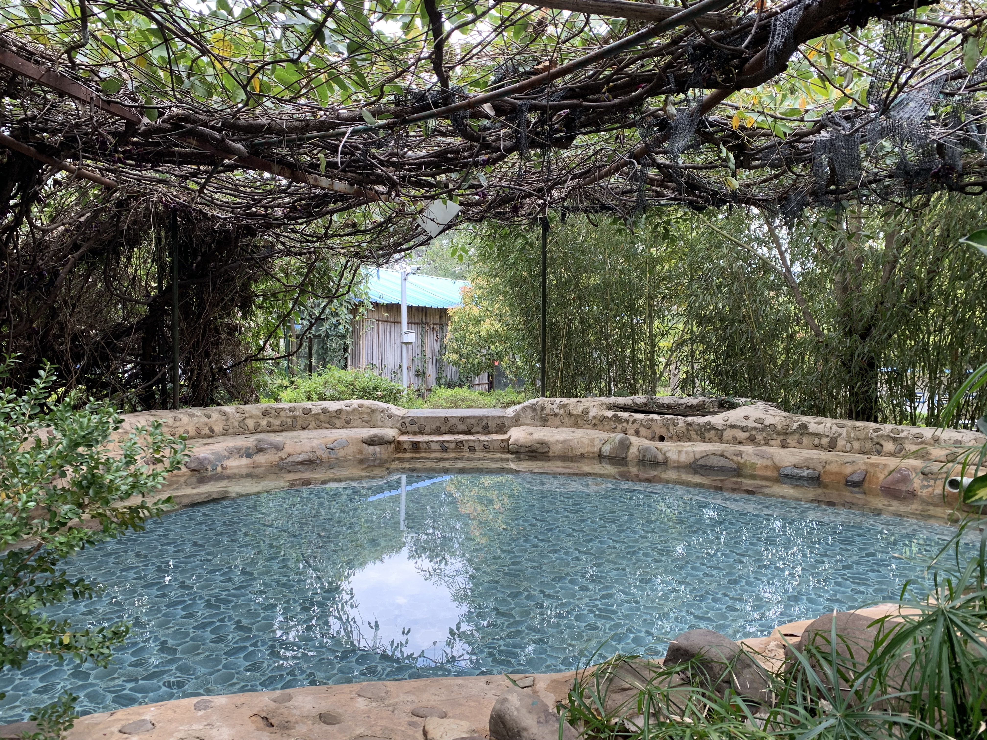 公司慶?！叭恕眹?guó)際婦女節(jié)