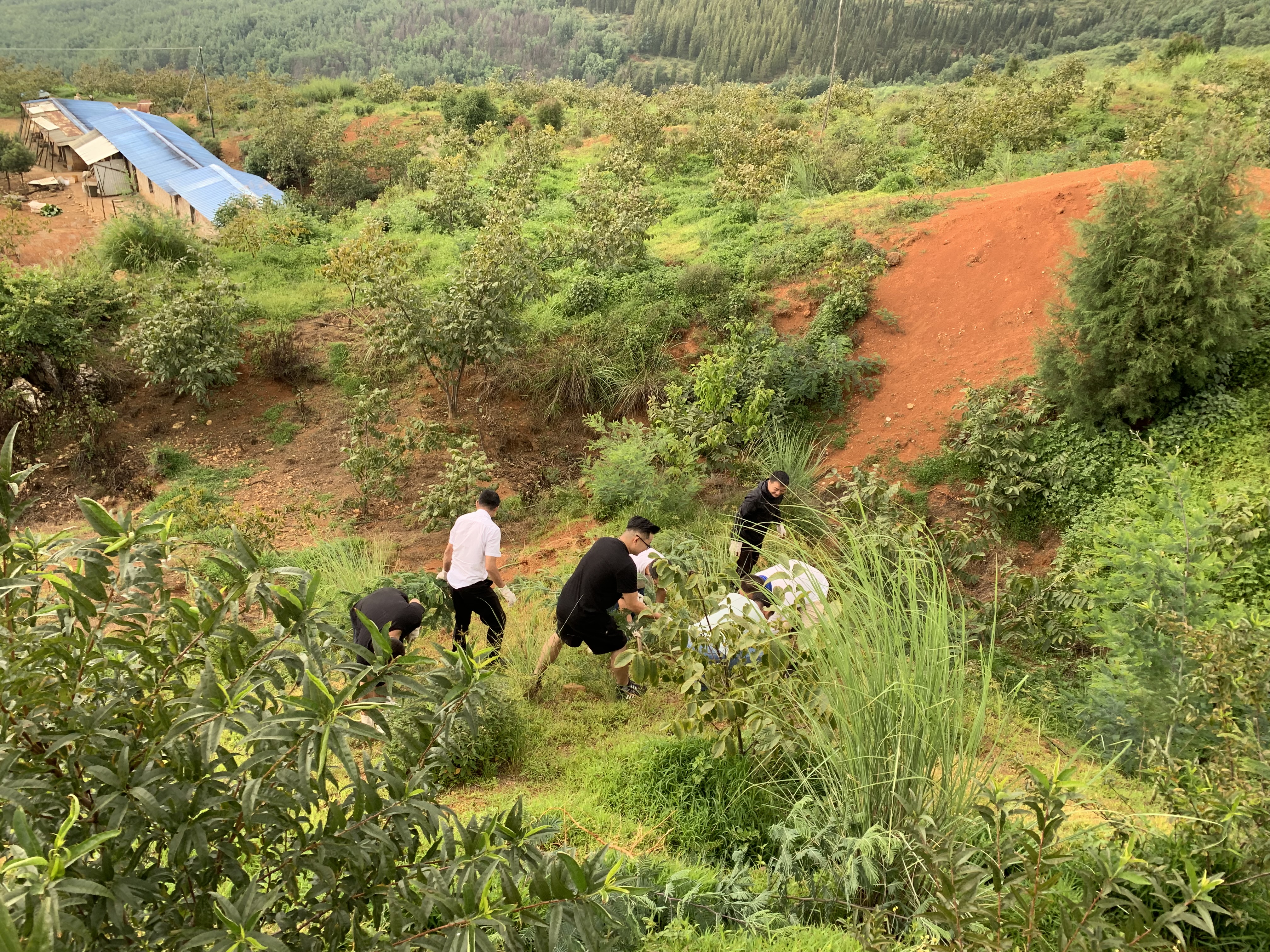 公司后備骨干會議——大石莊林地戶外活動