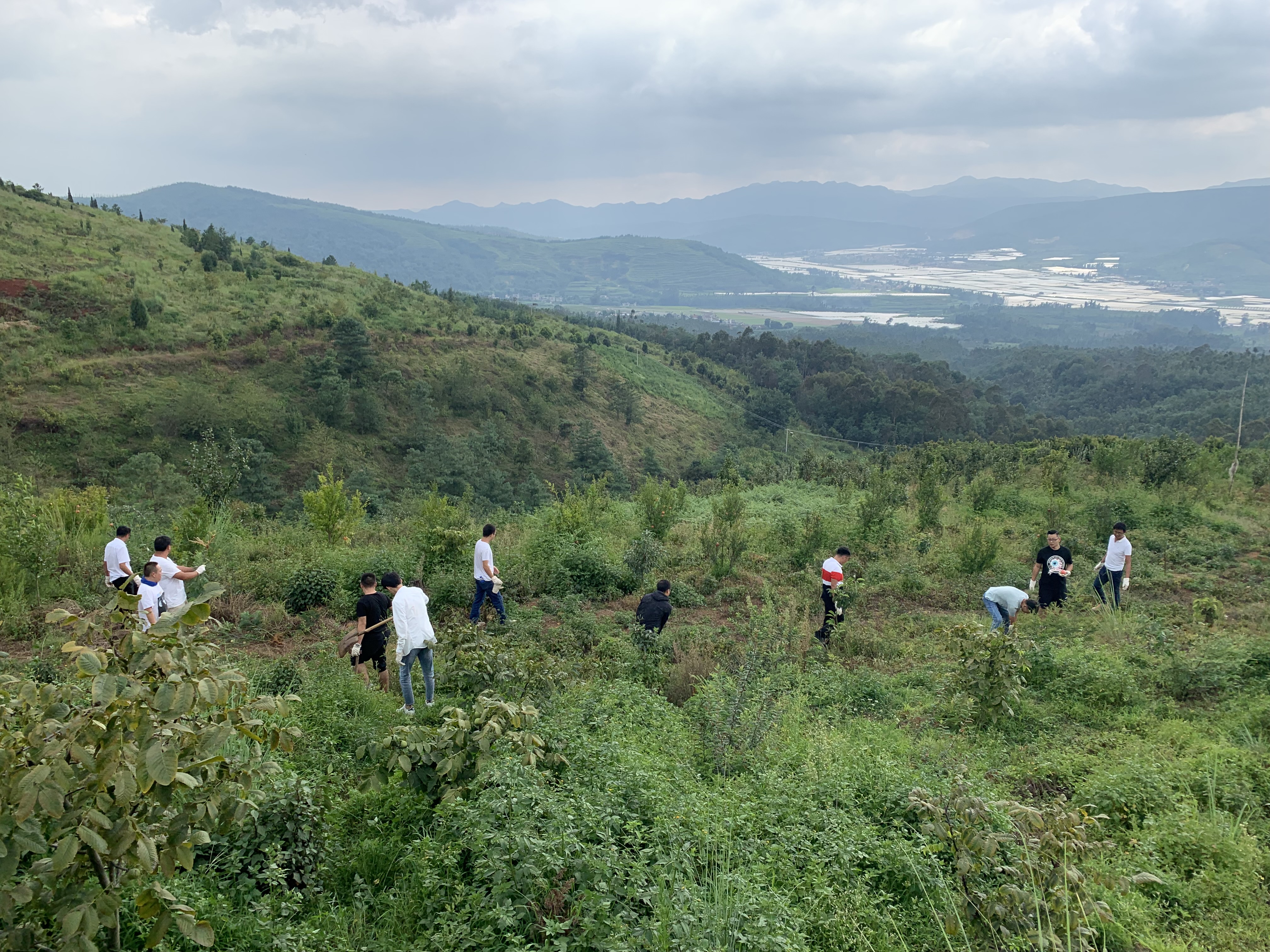 公司后備骨干會議——大石莊林地戶外活動