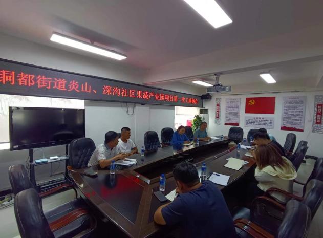 銅都街道炎山、深溝社區(qū)果蔬產(chǎn)業(yè)園建設(shè)項(xiàng)目