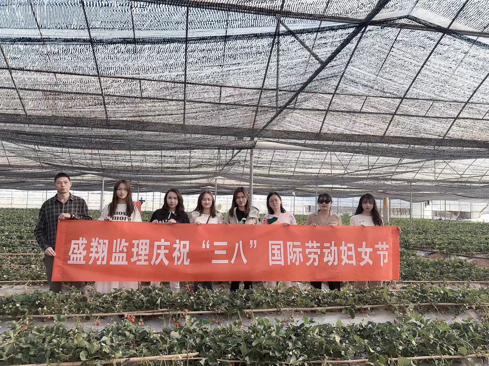 采擷春去 向“莓”好出發(fā) ——慶?！叭恕眹H勞動婦女節(jié)暨主題黨日活動